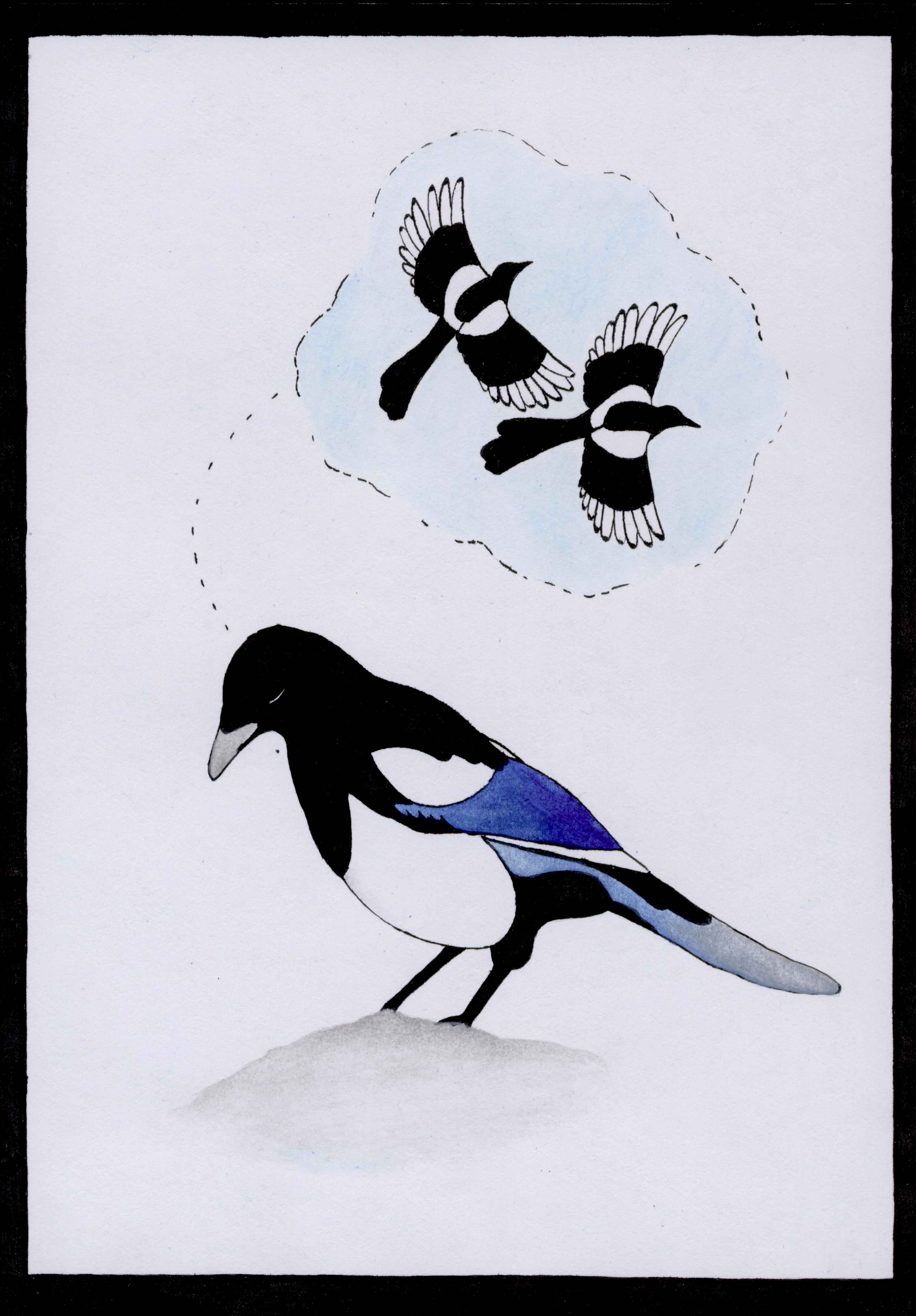 One for Sorrow, Two for Joy - A5, 2011
